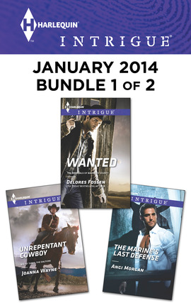 Title details for Harlequin Intrigue January 2014 - Bundle 1 of 2: Wanted\Unrepentant Cowboy\The Marine's Last Defense by Delores Fossen - Available
